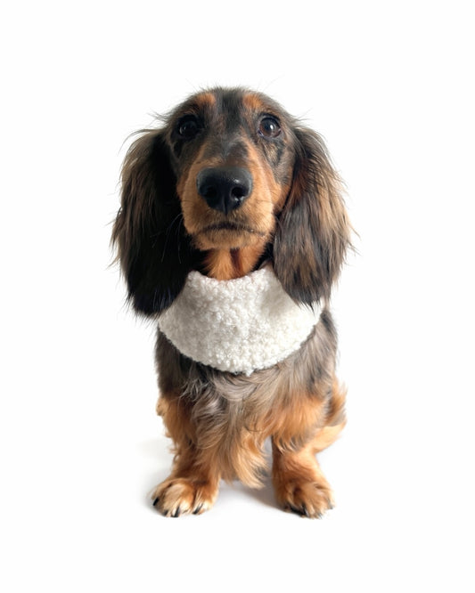 Hundeloop Boucle Teddy Weiß