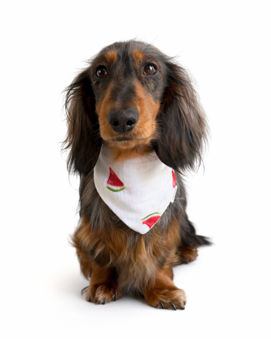 Halstuch Musselin „Watermelon“