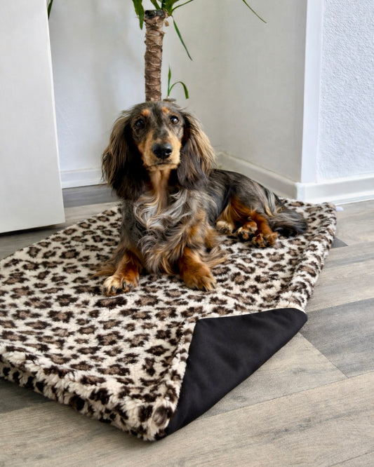 Outdoor Kuscheldecke Leo