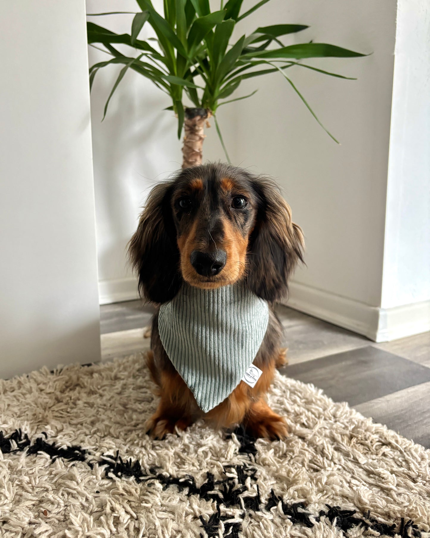 Halstuch Cord Türkis personalisiert