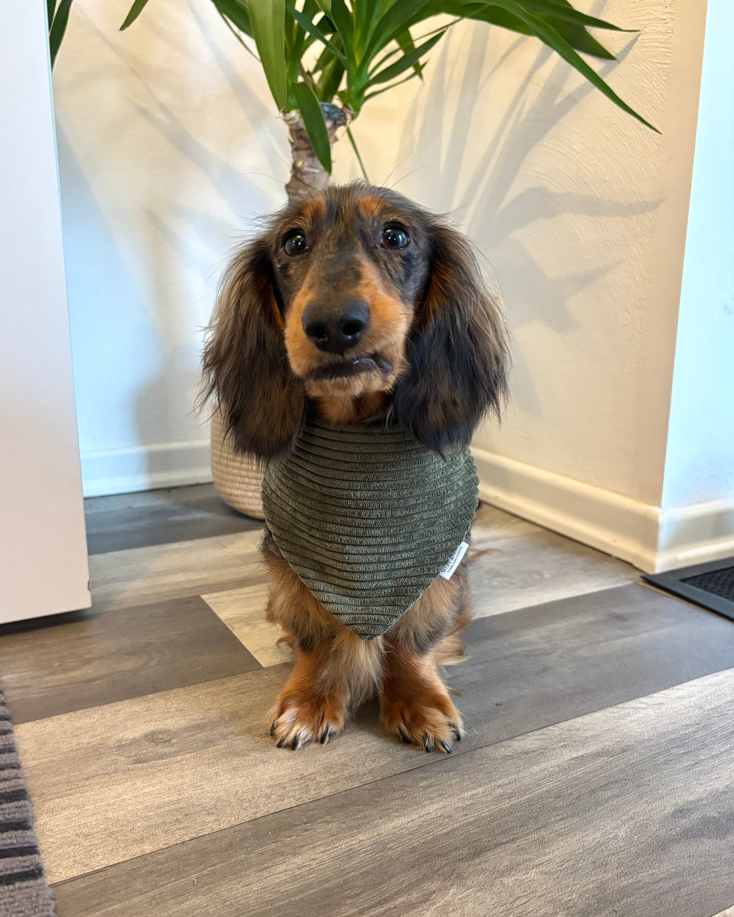 Halstuch Cord „Dunkelgrün“ personalisiert