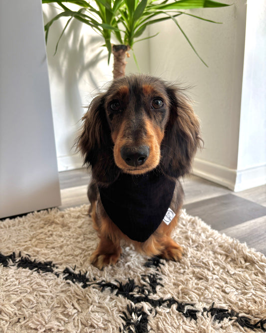 Halstuch Musselin „Blacky“ personalisiert