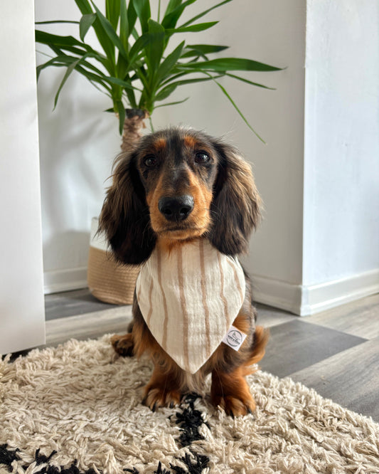 Halstuch „Stripe“ personalisiert