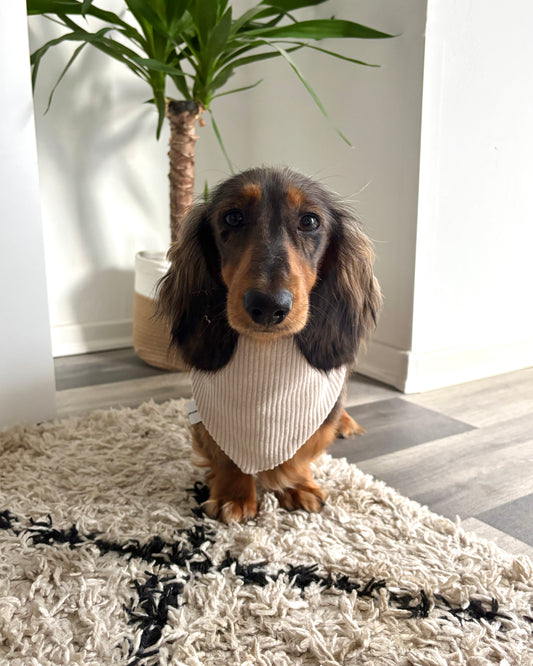 Halstuch Cord Beige personalisiert