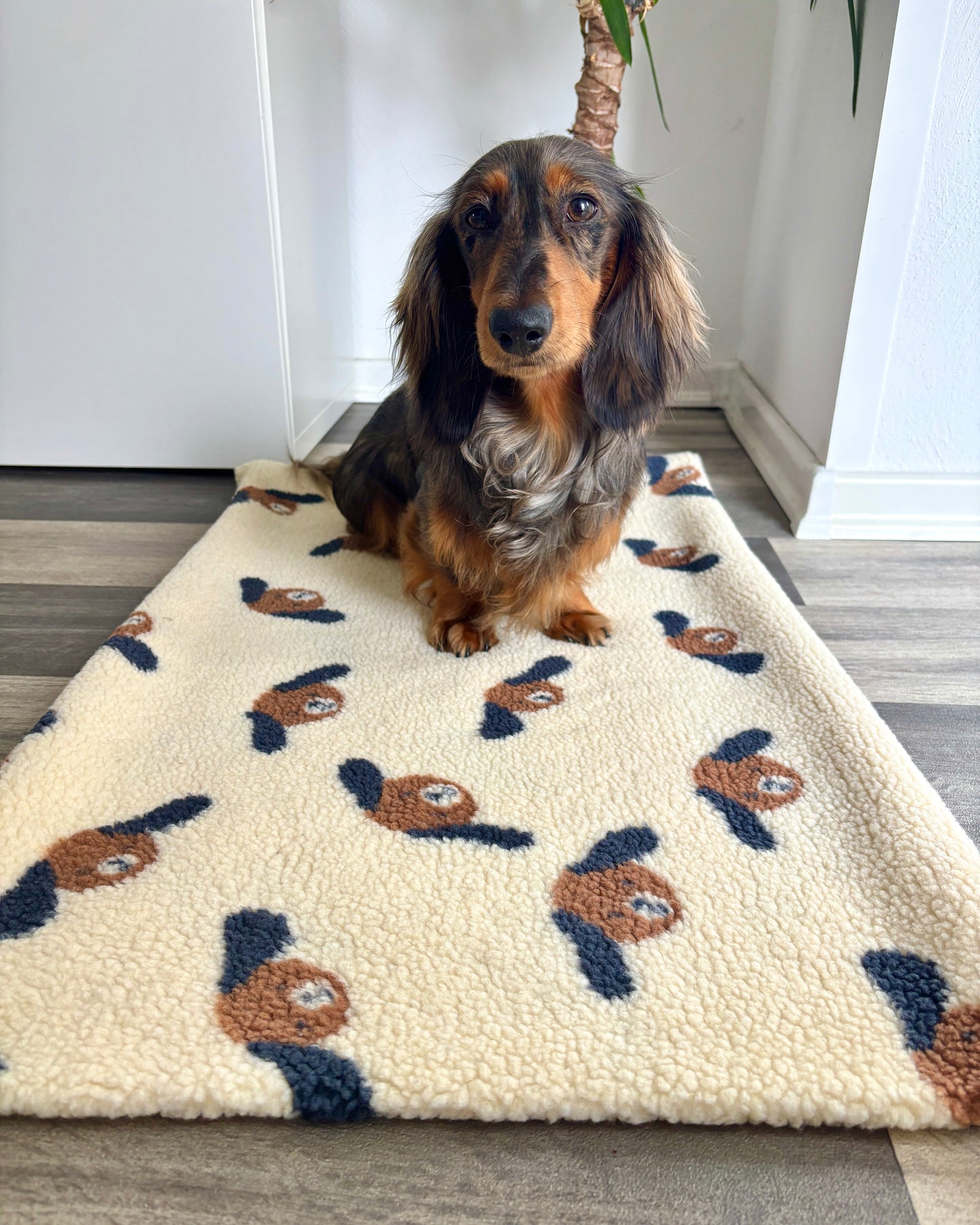 Kuscheldecke „Hundis“