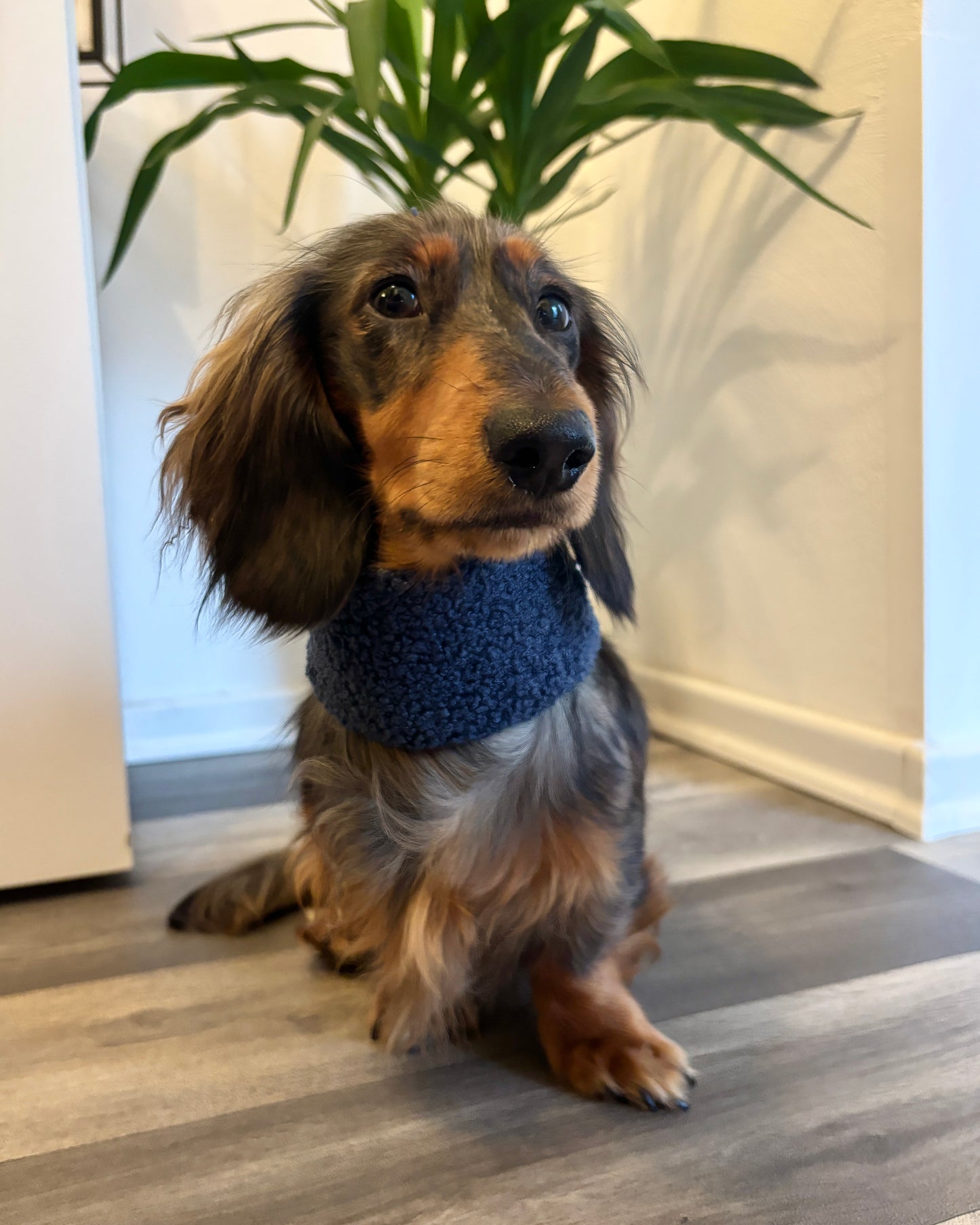 Hundeloop Teddy Marine