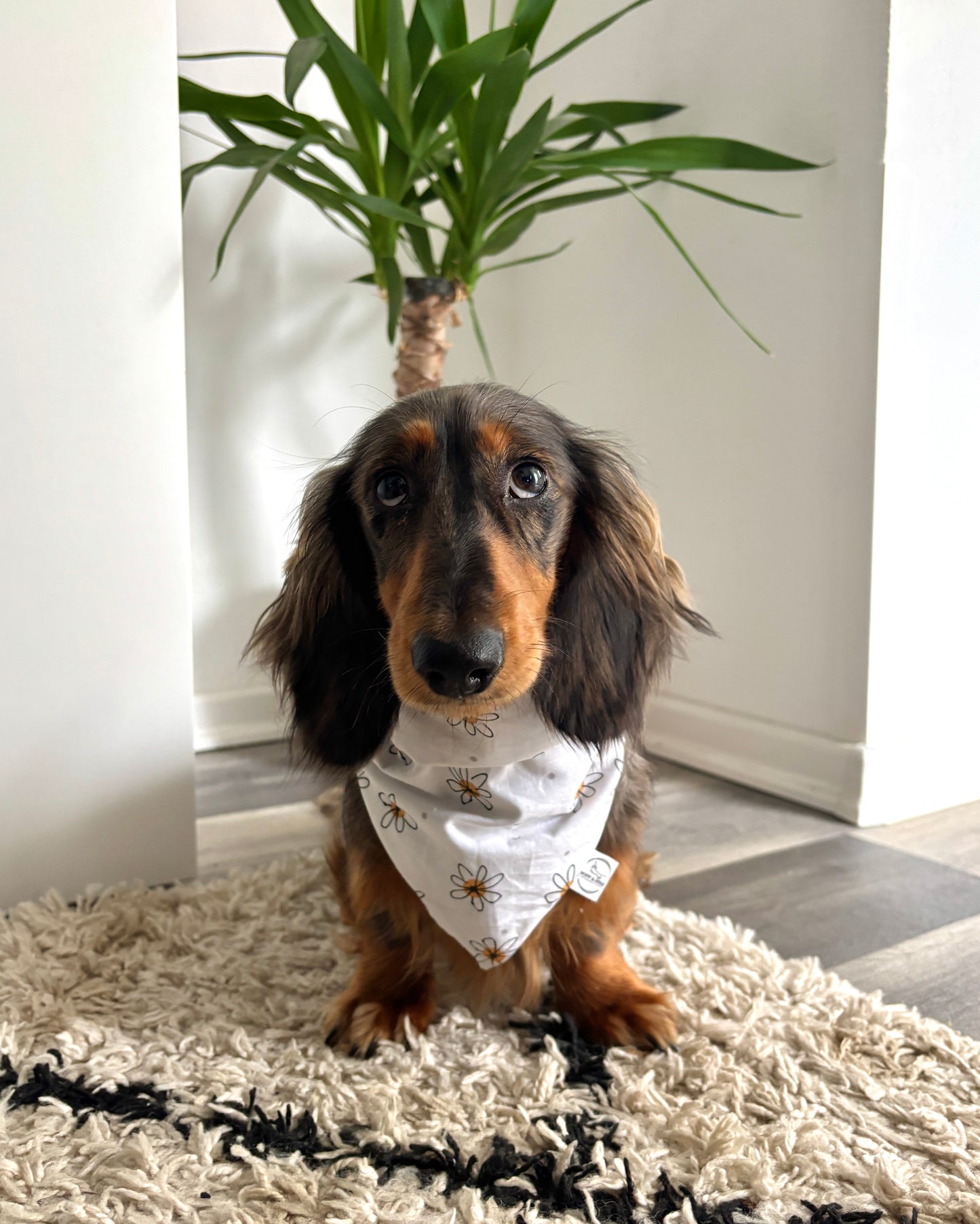 Halstuch „Gänseblümchen“