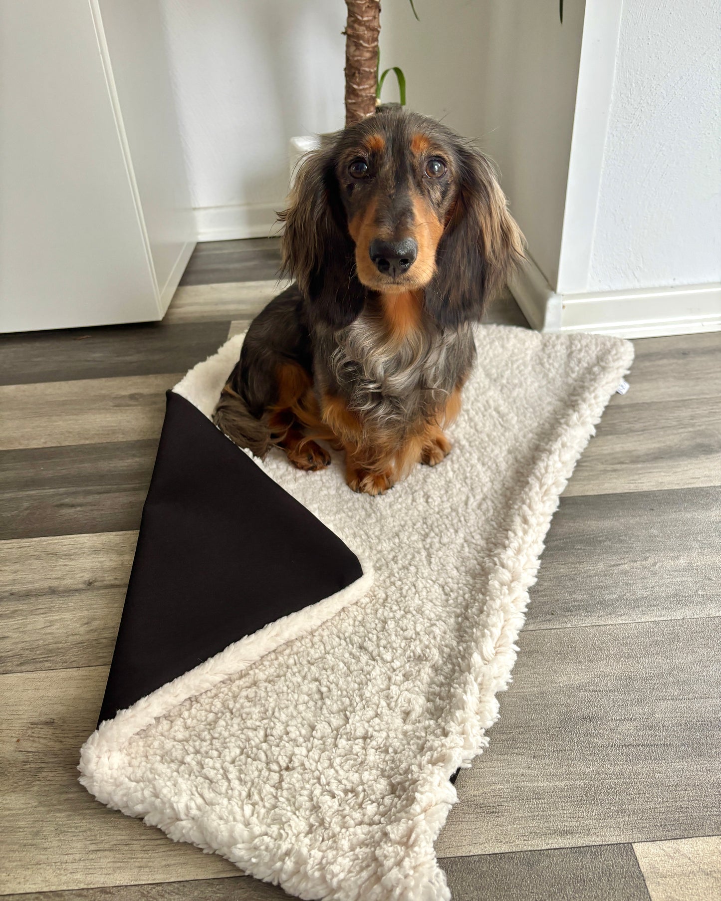 Outdoor Kuscheldecke „Plüschi“