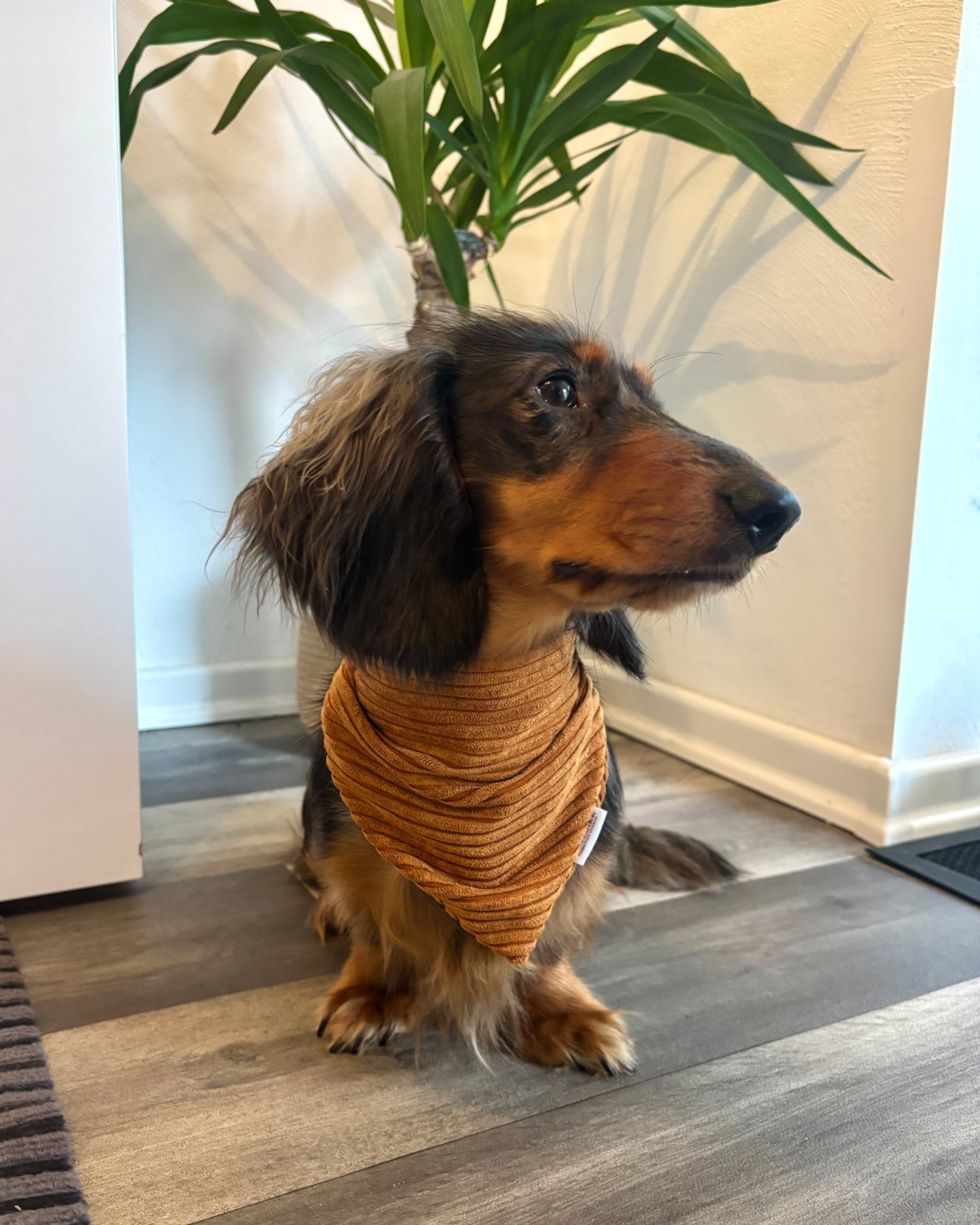 Halstuch Cord „Cognac“ personalisiert