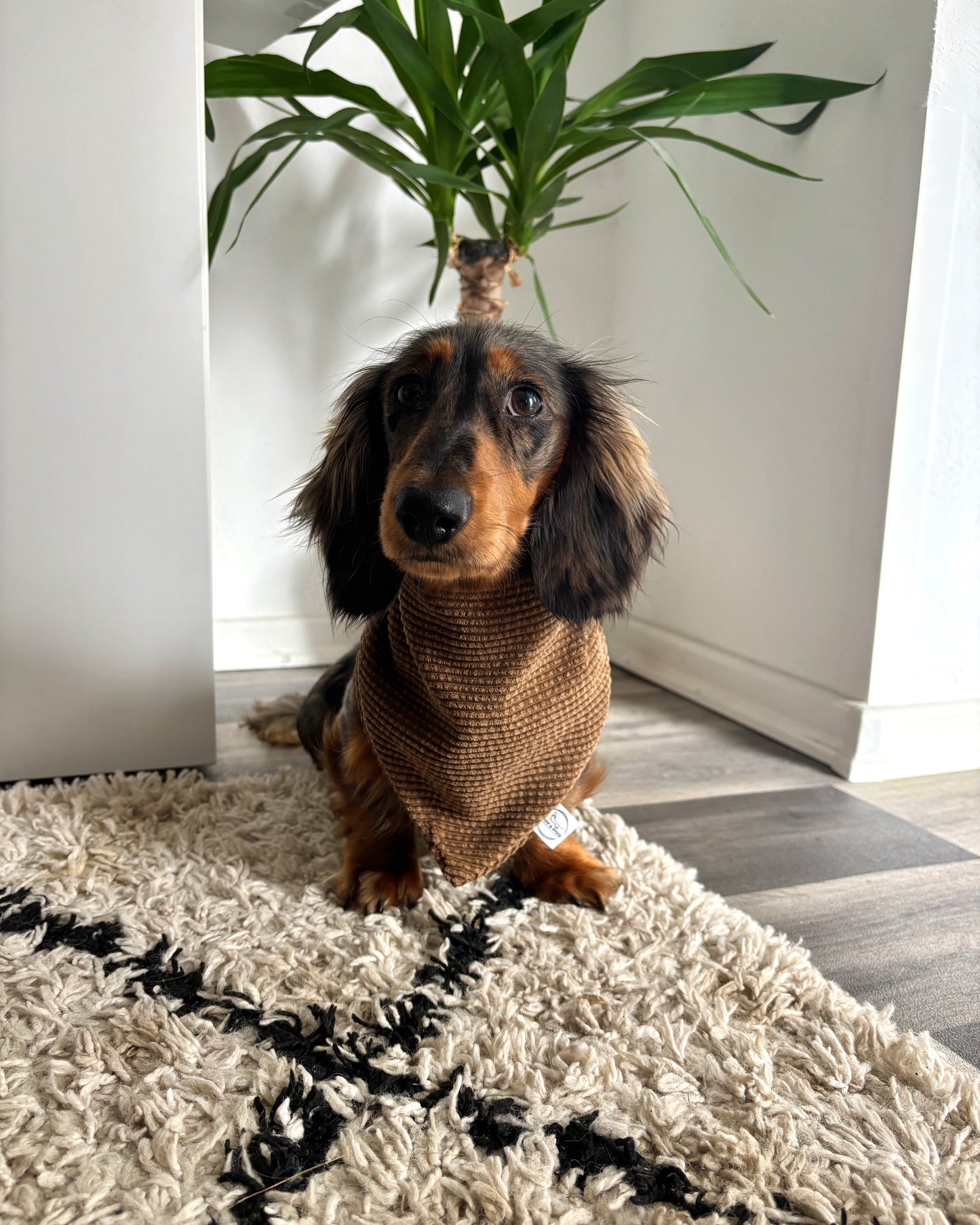 Halstuch Cord Braun personalisiert