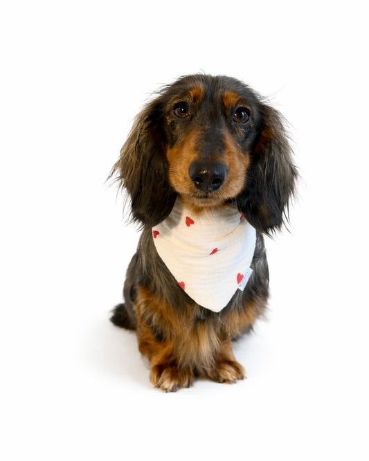 Halstuch Musselin „Valentine‘s Day“