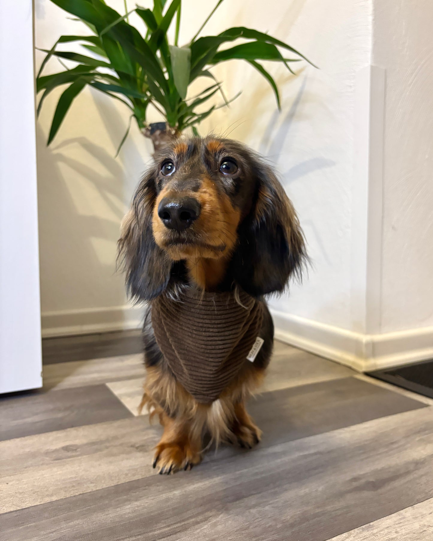 Halstuch Cord „Dunkelbraun“ personalisiert