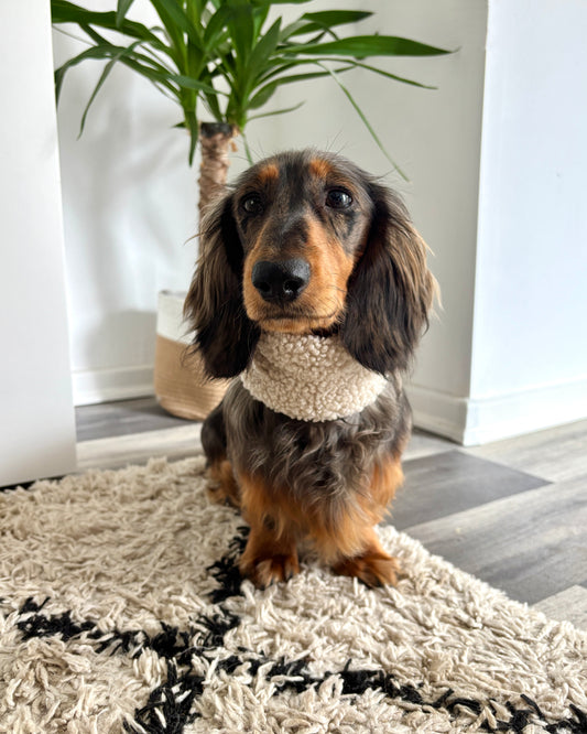 Hundeloop Teddy Beige