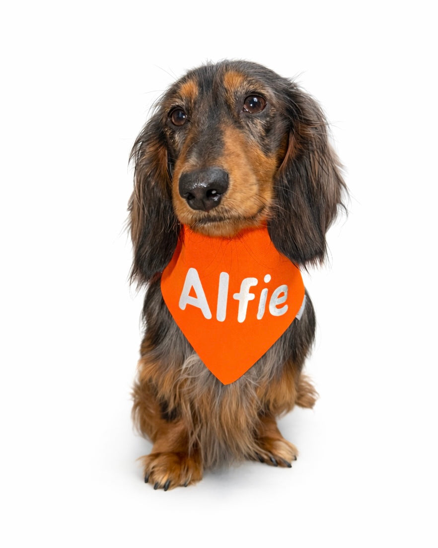 Reflektierendes Warnhalstuch personalisiert Orange