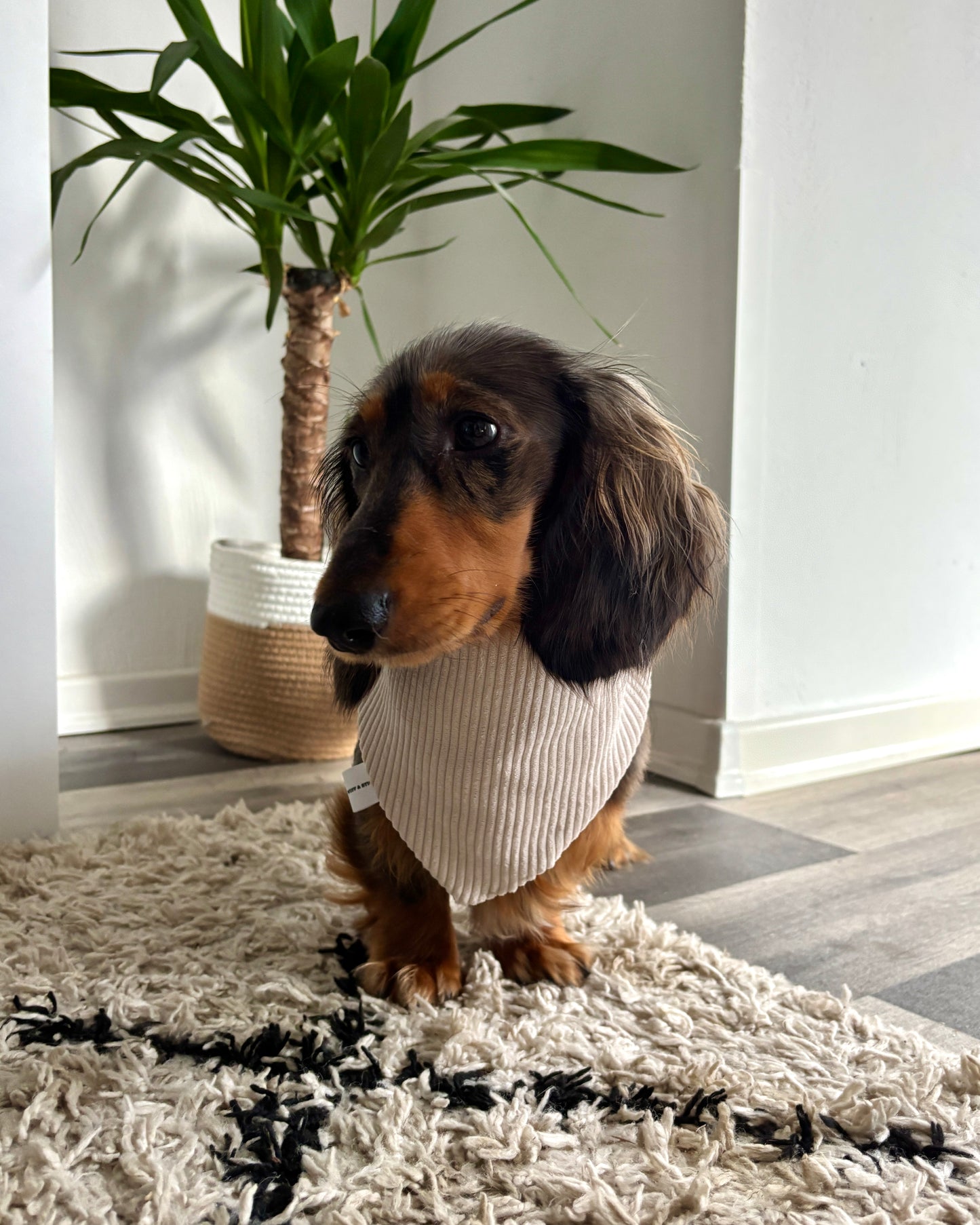 Halstuch Cord Beige personalisiert