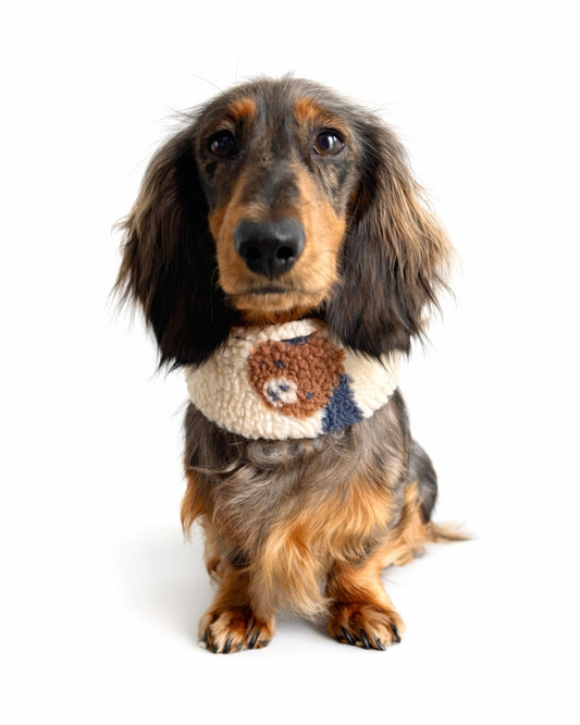 Hundeloop Teddy „Hundis“