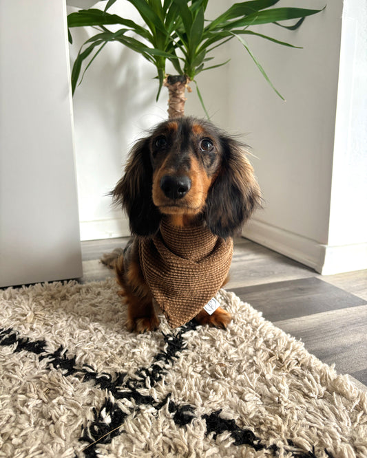 Halstuch Cord Braun personalisiert