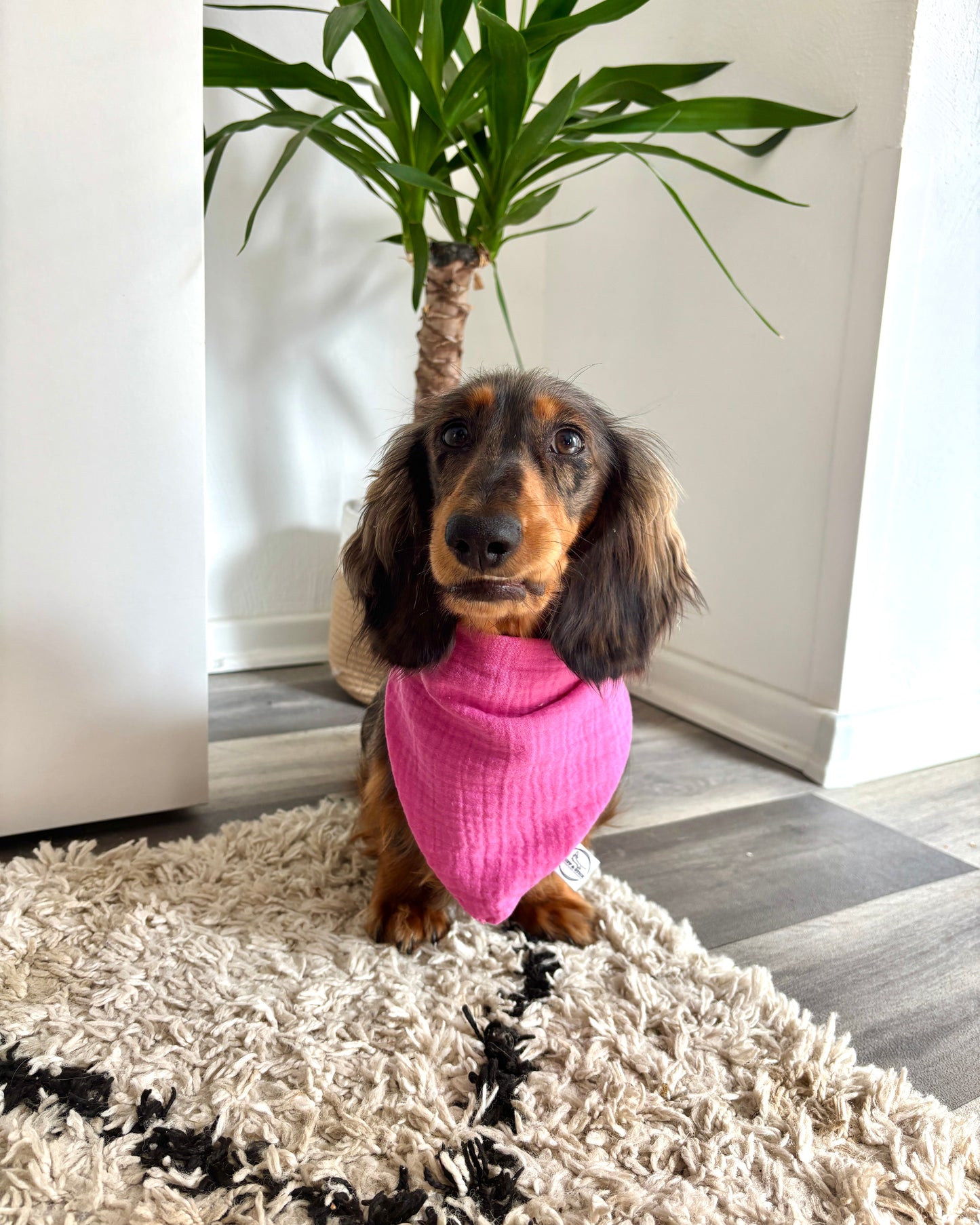 Halstuch Musselin „Pinky“ personalisiert