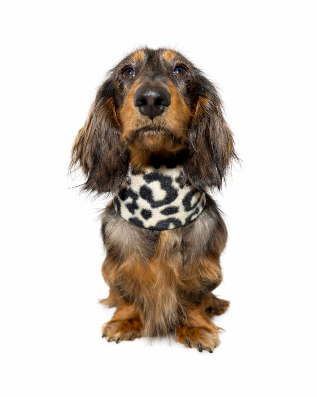 Hundeloop Fleece Leo