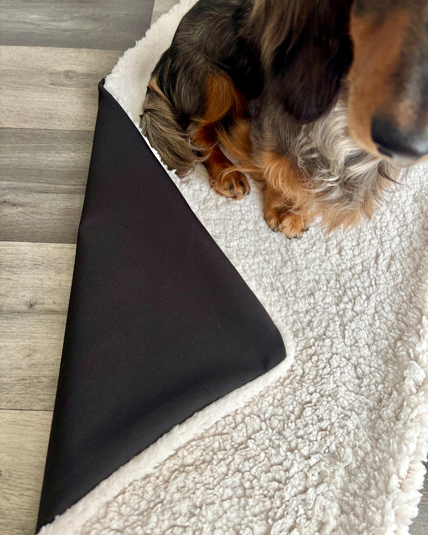 Outdoor Kuscheldecke „Plüschi“