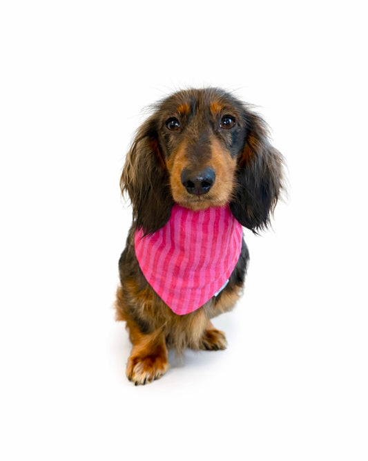 Halstuch Musselin „Pink Stripy“