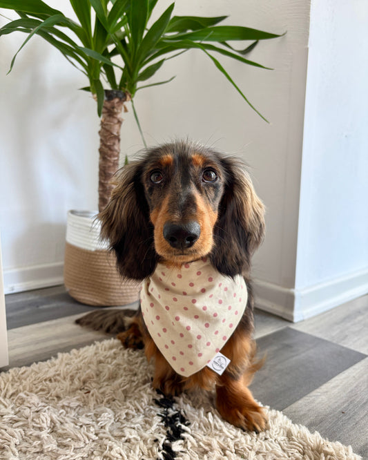Halstuch „Pünktchen“ personalisiert