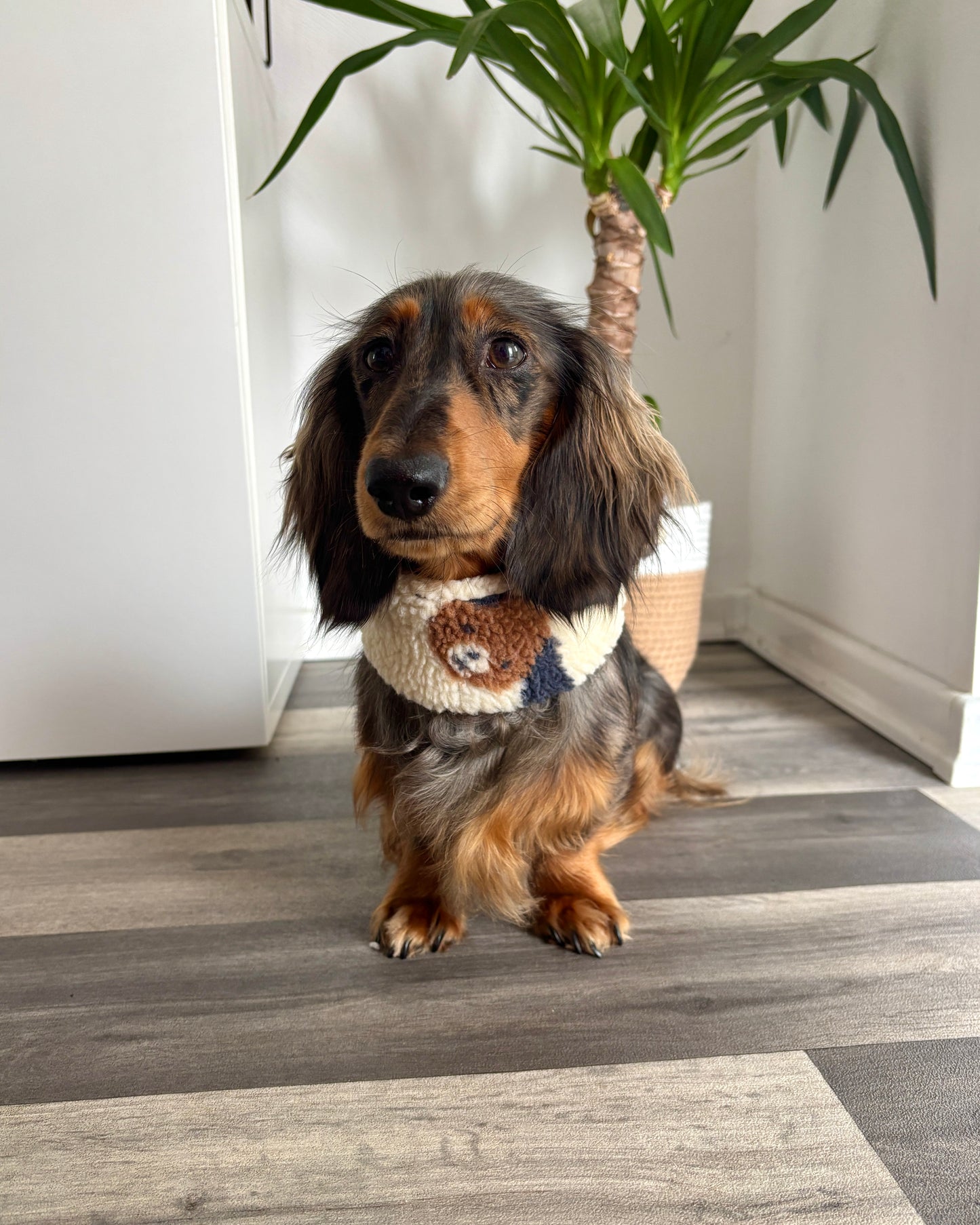 Hundeloop Teddy „Hundis“