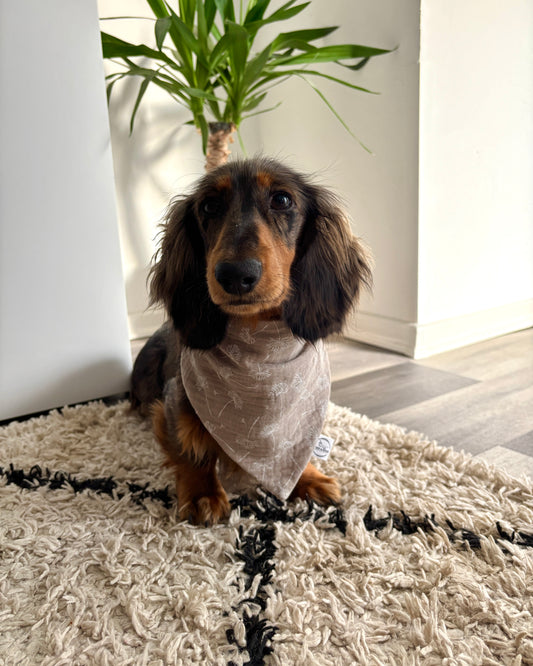 Halstuch Musselin „Pusteblume“ personalisiert