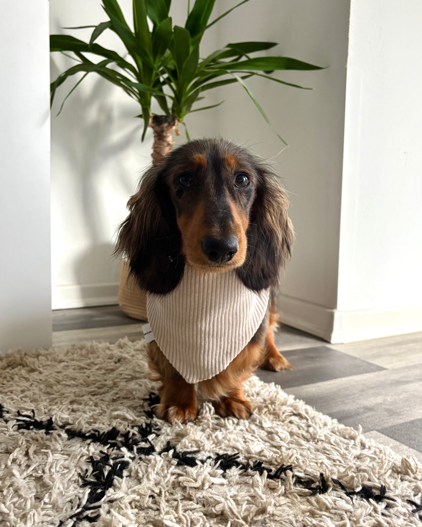 Halstuch Cord Beige personalisiert