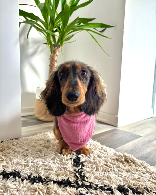 Halstuch Musselin „Alt Rosa“ personalisiert