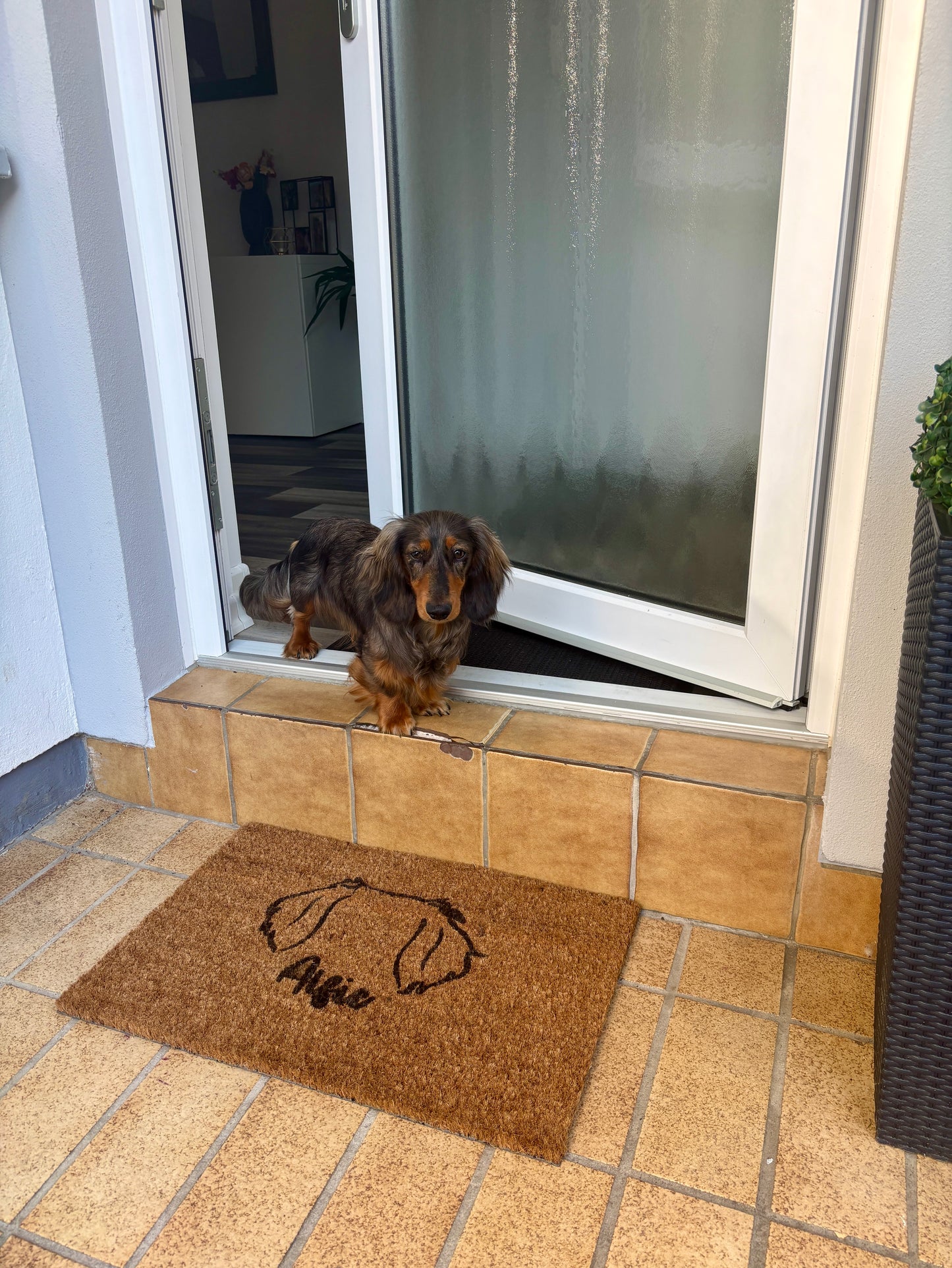 Fußmatte Hundeohren personalisiert