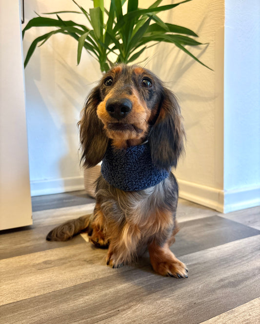 Hundeloop Teddy Marine