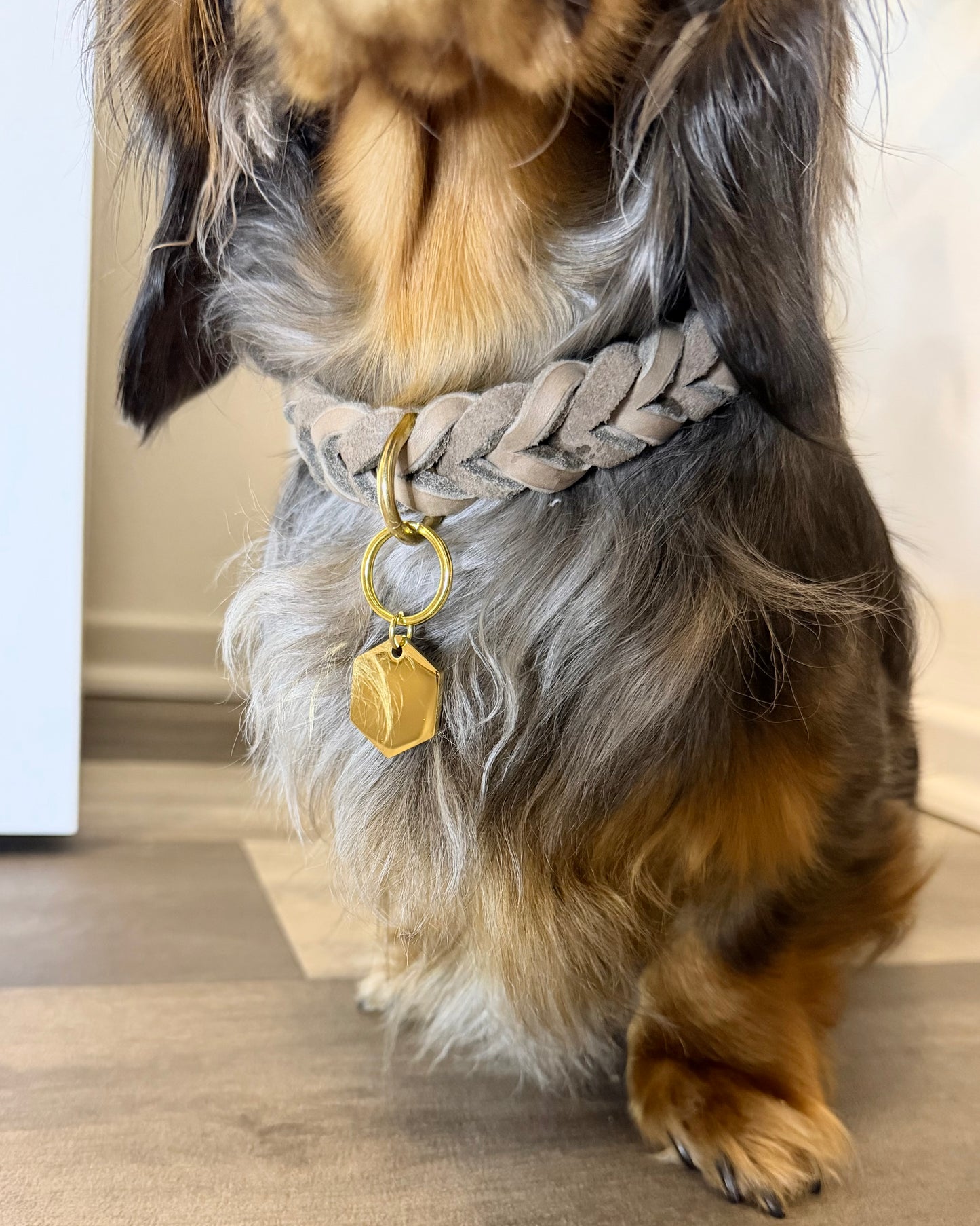 Hundemarke Hexagon