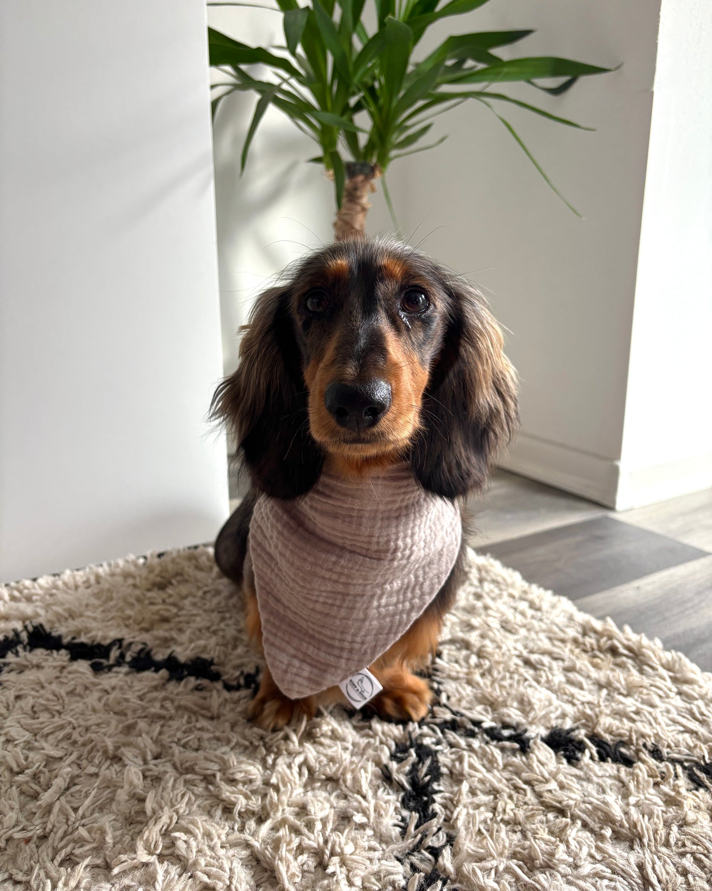 Halstuch Musselin Hellbraun personalisiert