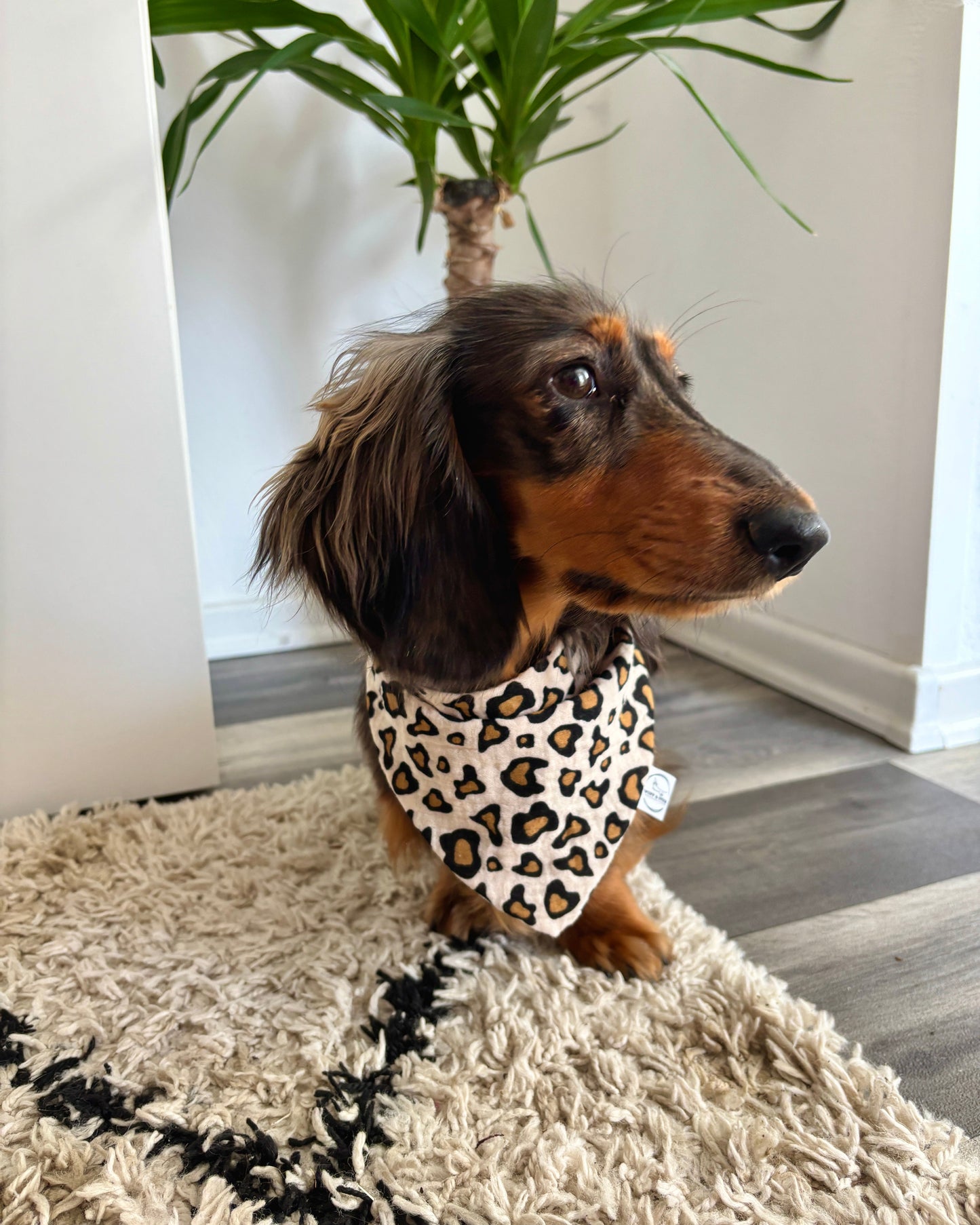 Halstuch Musselin „Leo Dream“