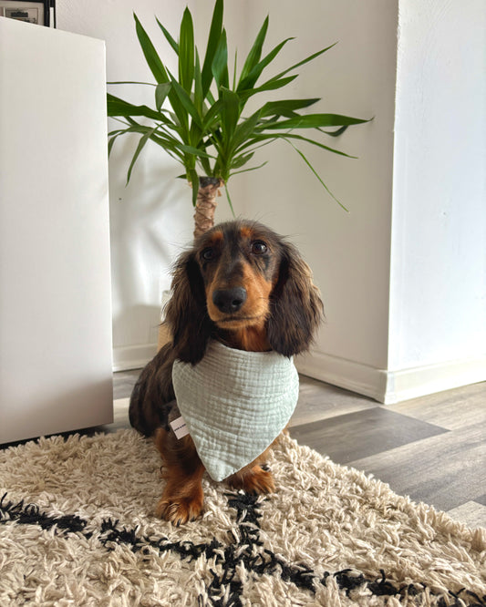 Halstuch Musselin „Minty“ personalisiert