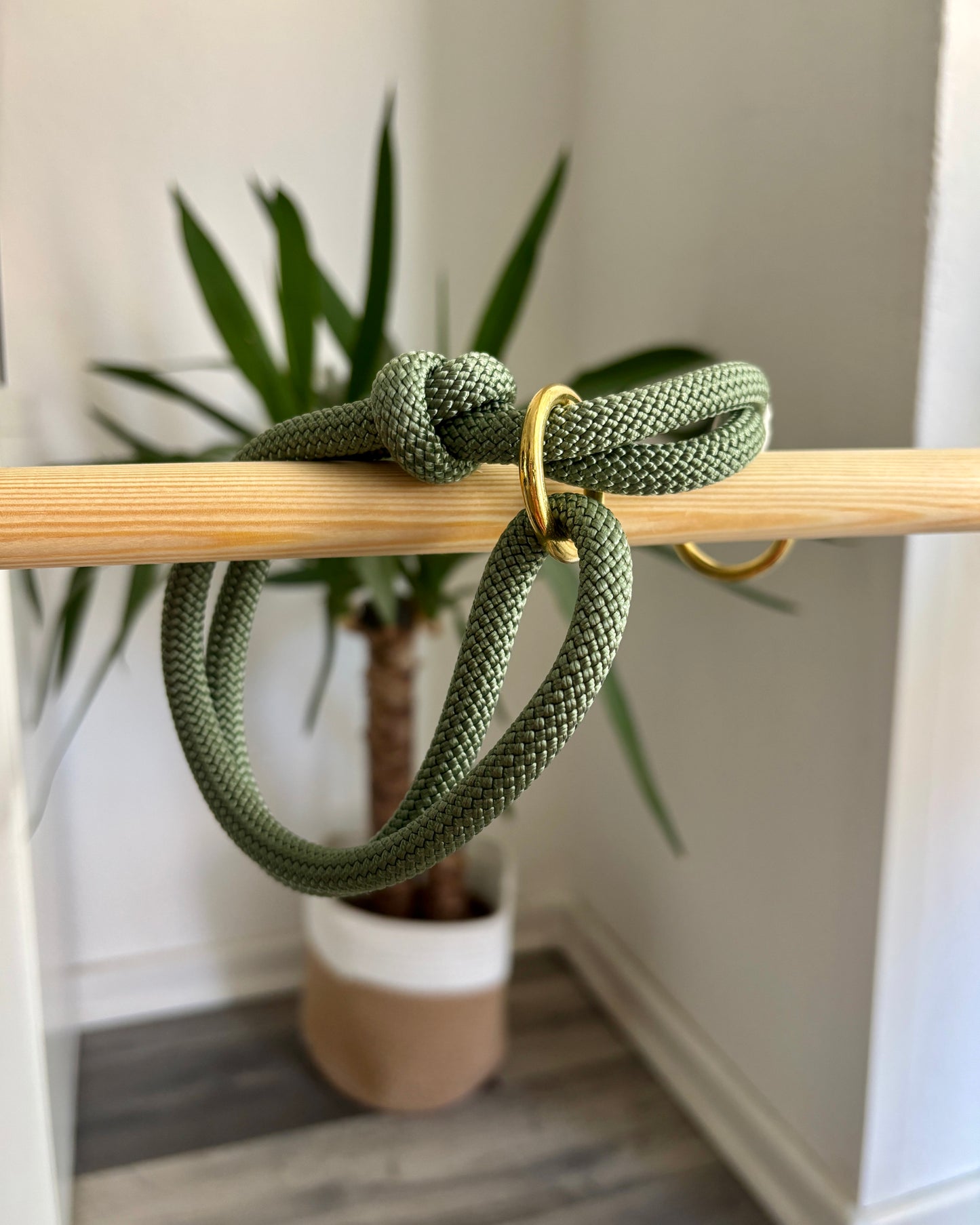 Retrieverhalsband Green