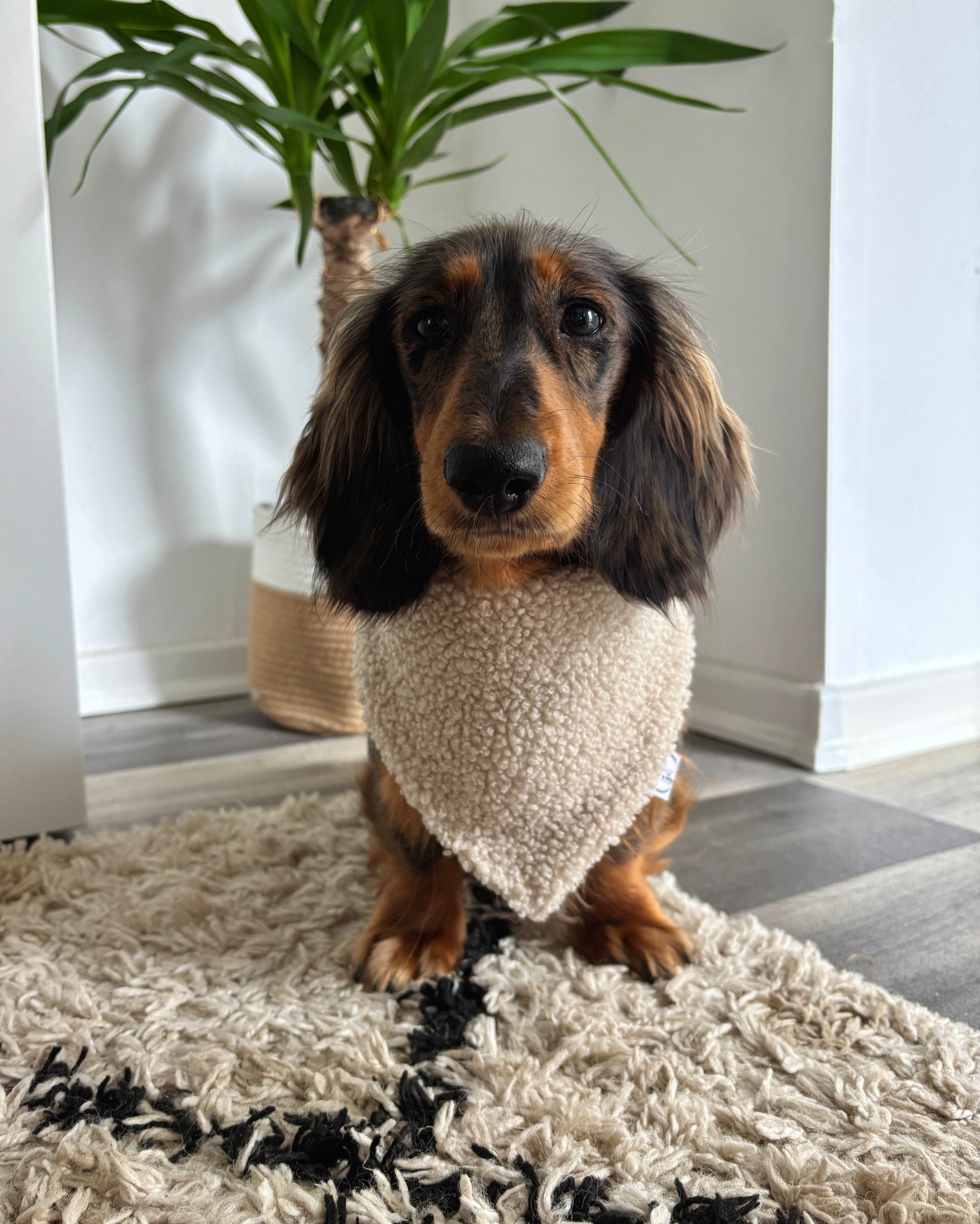 Halstuch „Teddy“ Beige