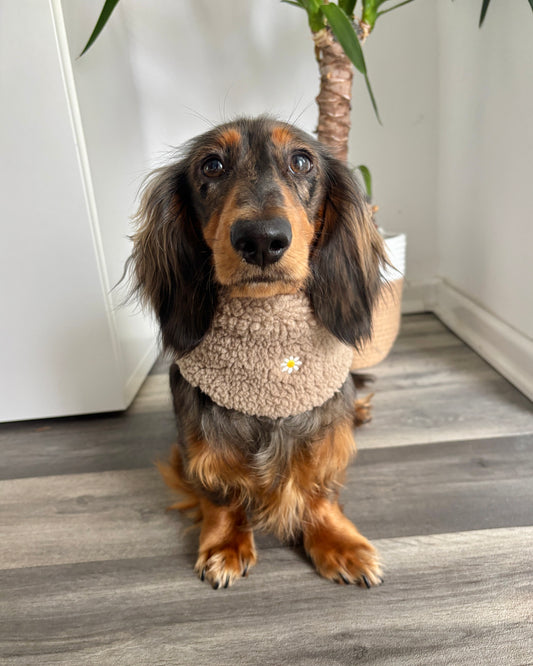 Hundeloop Teddy „Blümchen“