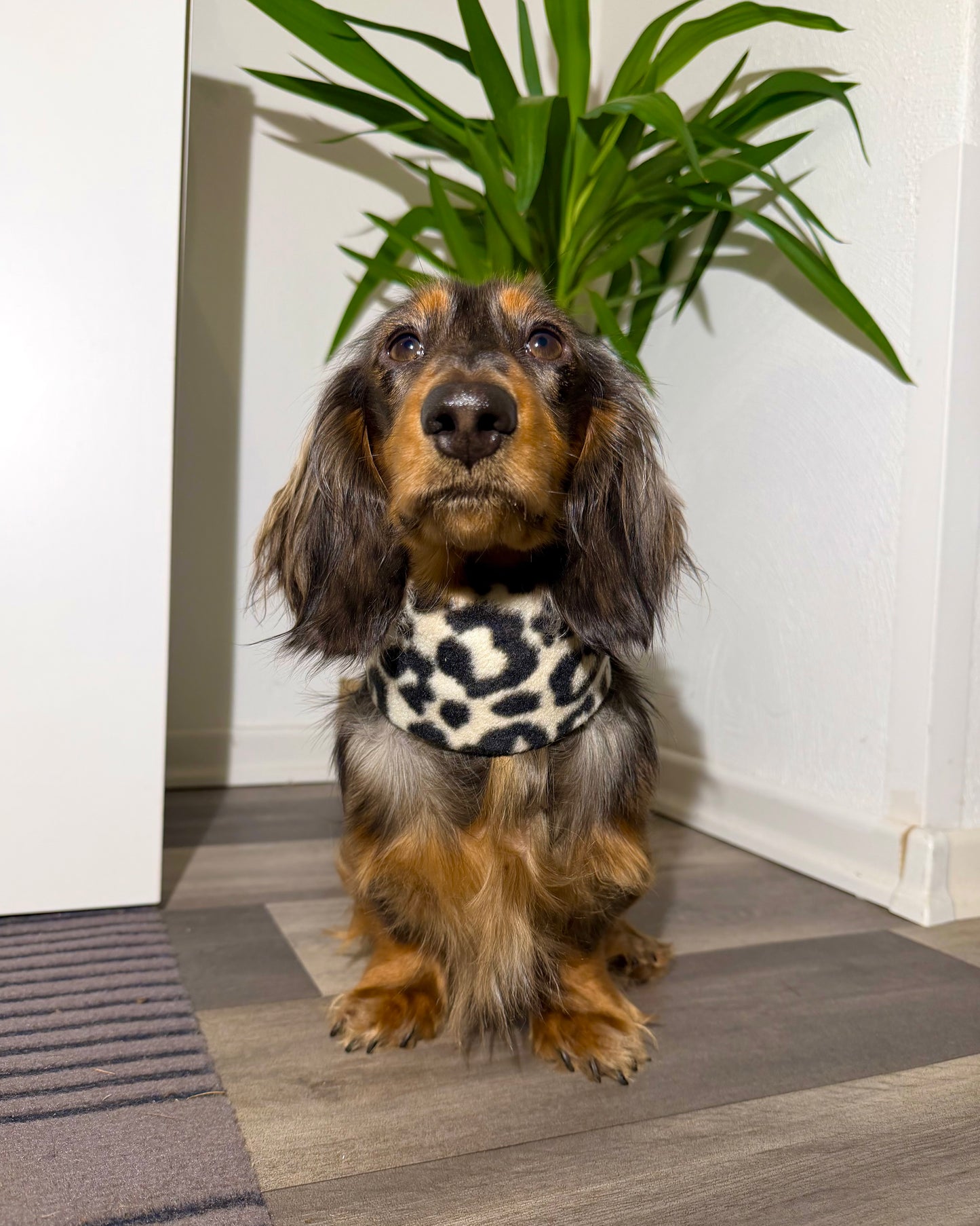 Hundeloop Fleece Leo