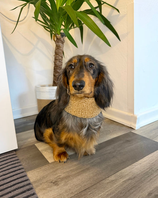 Hundeloop Teddy Hellbraun