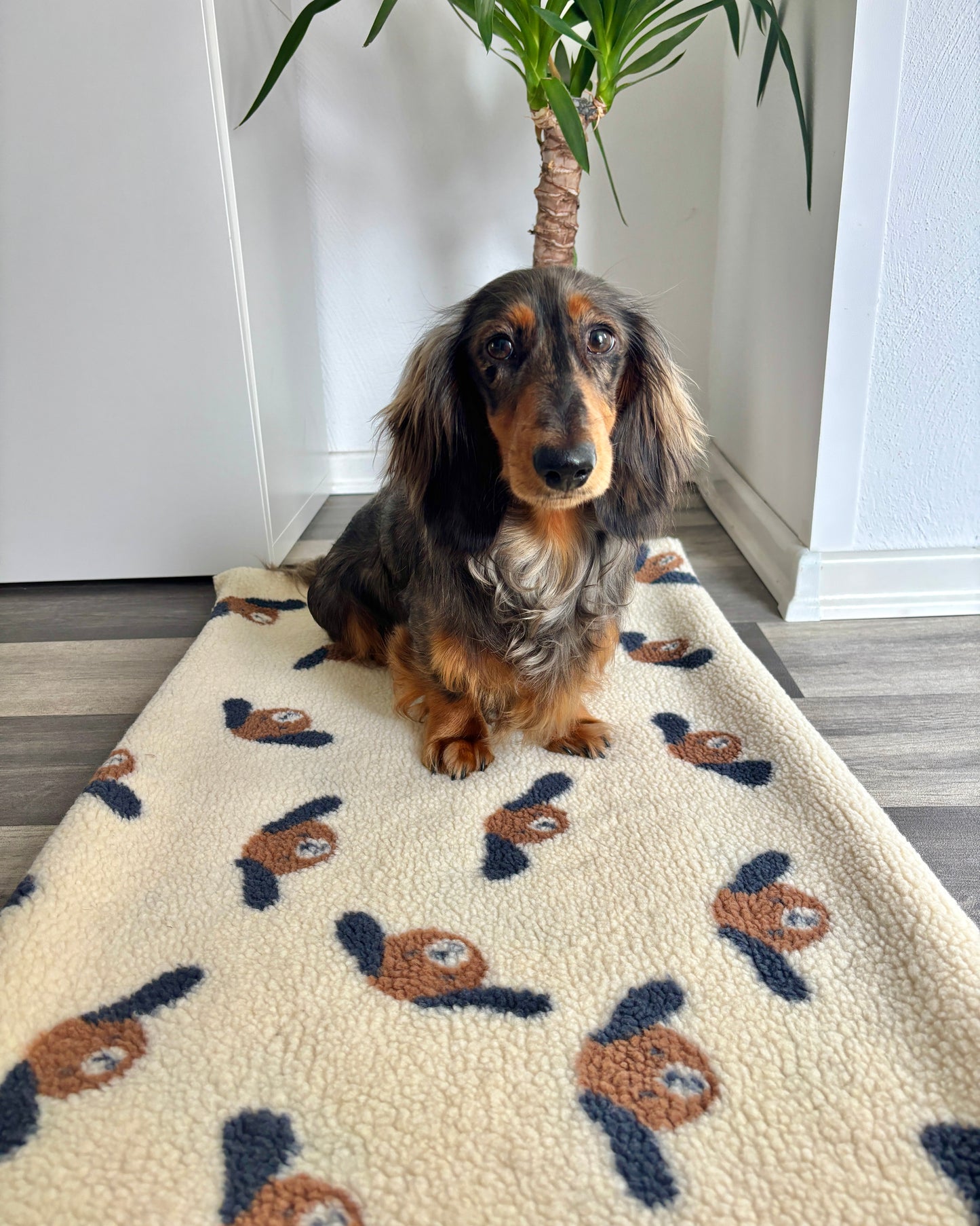 Kuscheldecke „Hundis“