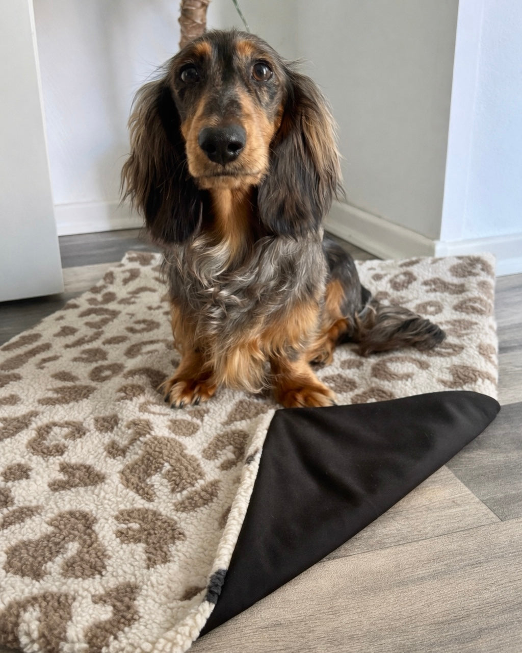 Outdoor Kuscheldecke Leo hell