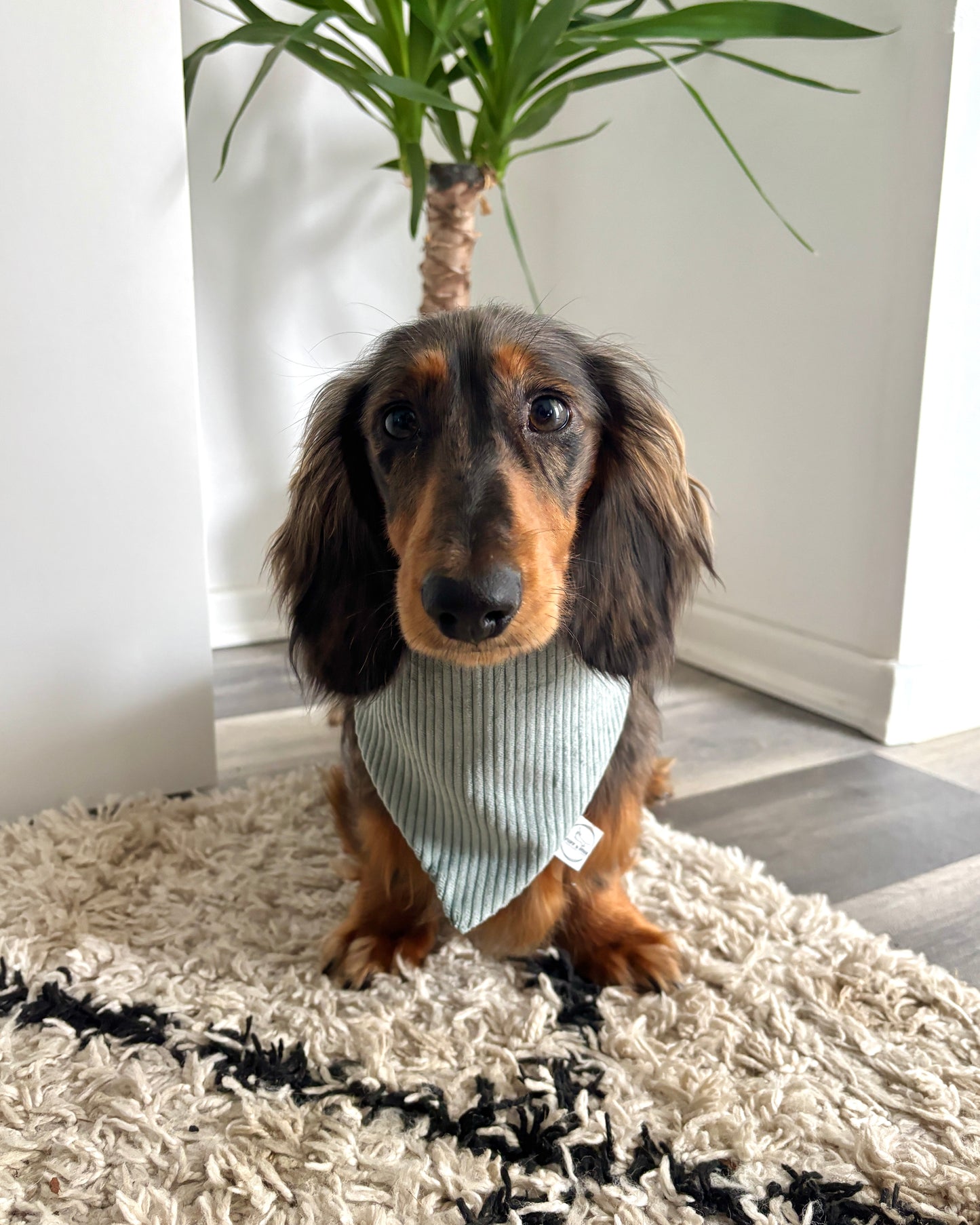 Halstuch Cord Türkis personalisiert