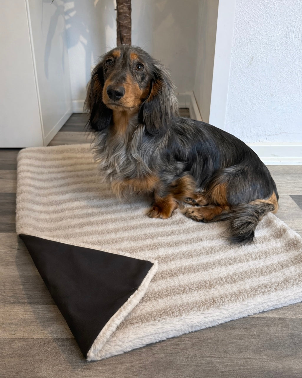 Outdoor Kuscheldecke Teddyplüsch