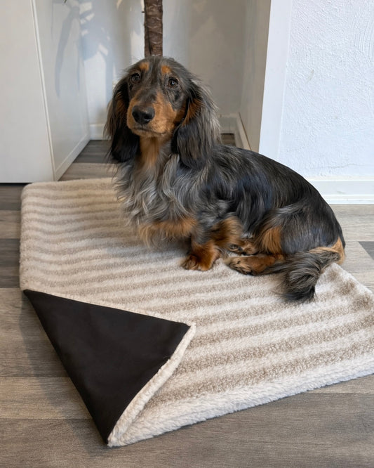 Outdoor Kuscheldecke Teddyplüsch