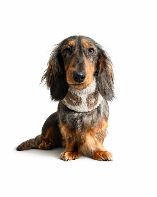 Hundeloop Teddy Leo hell bis 22cm HU