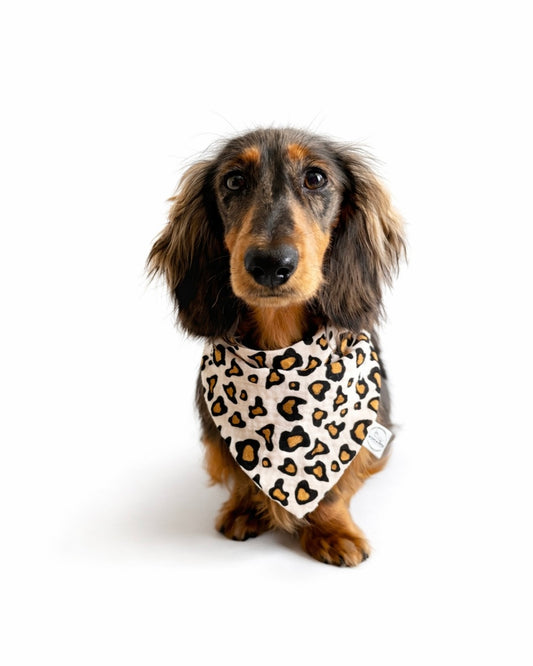 Halstuch Musselin „Leo Dream“