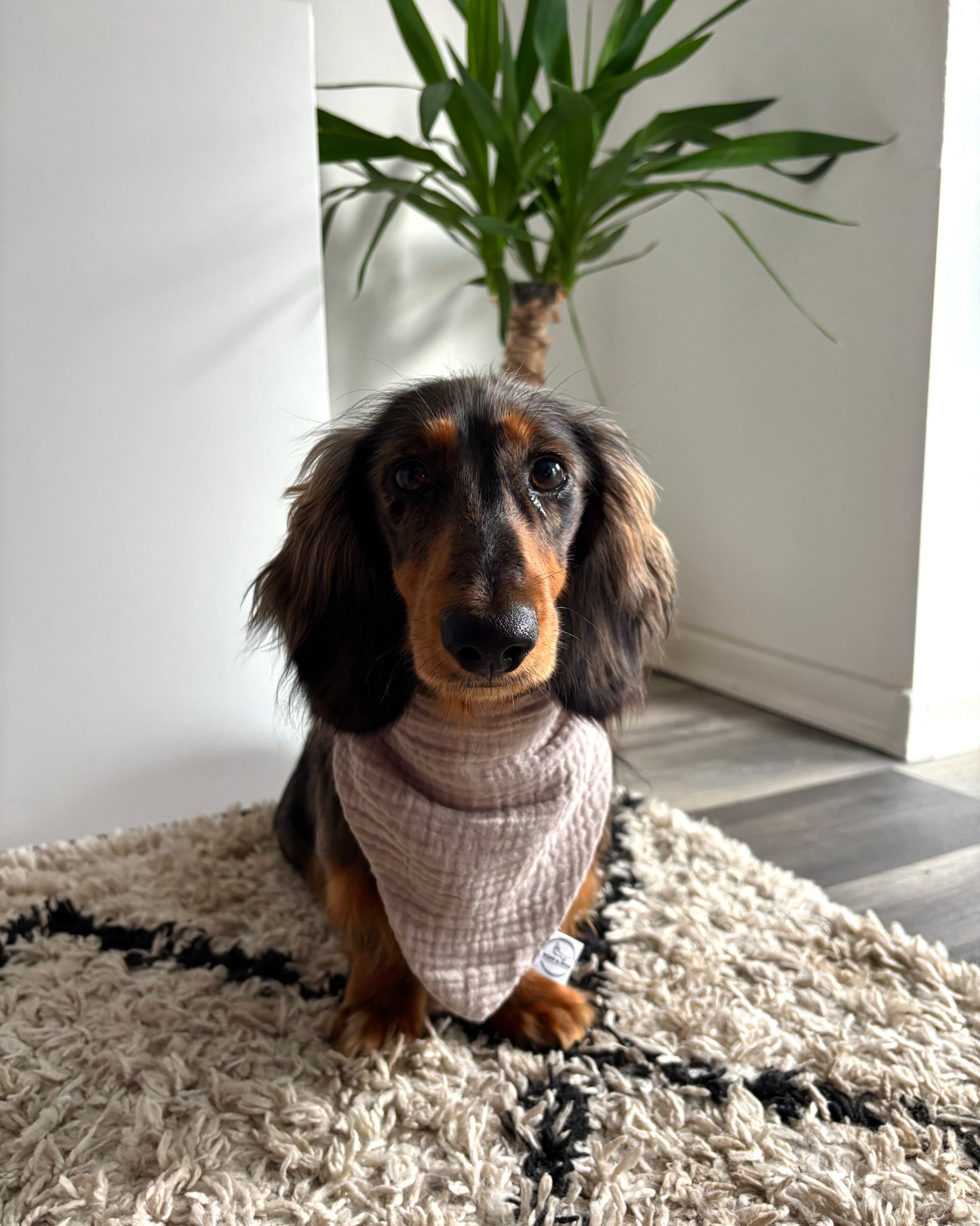 Halstuch Musselin Hellbraun personalisiert