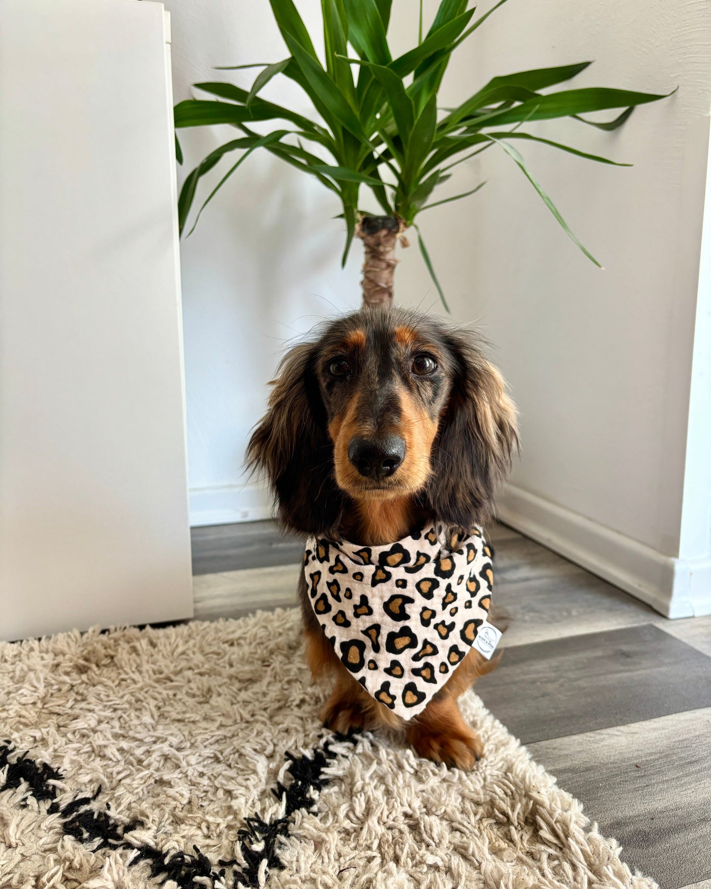 Halstuch Musselin „Leo Dream“